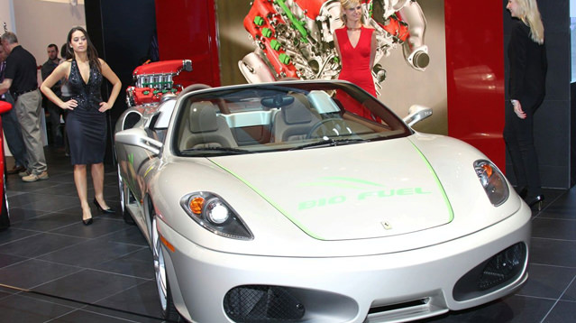 Yılın Fuar Güzelleri