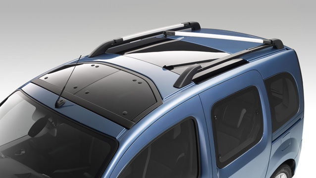 Renault Kangoo (makyaj)