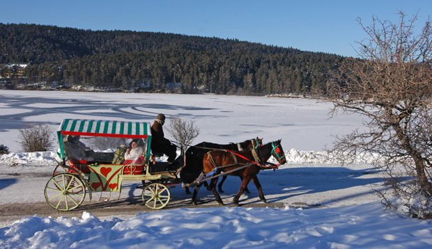 Huzur Sığınakları