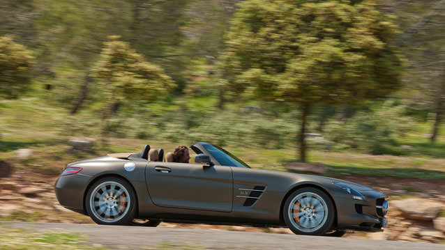 2011 Mercedes-Benz SLS AMG Roadster