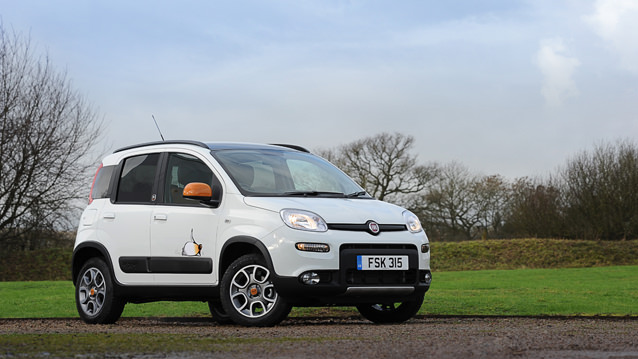 Bu Panda Soğuğu Seviyor