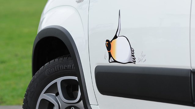 Bu Panda Soğuğu Seviyor