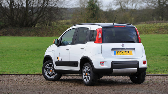 Bu Panda Soğuğu Seviyor