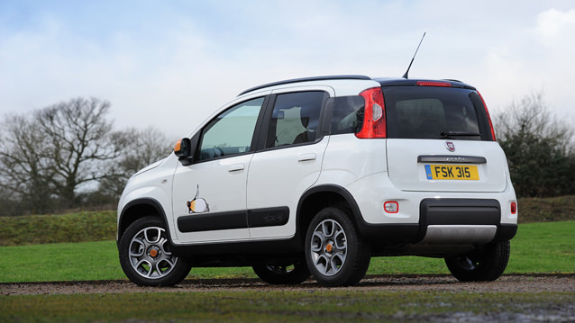 Bu Panda Soğuğu Seviyor