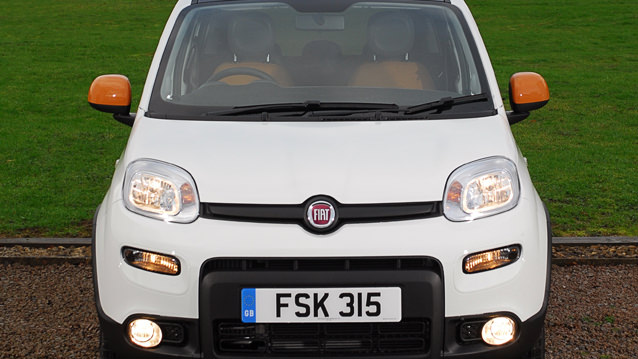 Bu Panda Soğuğu Seviyor