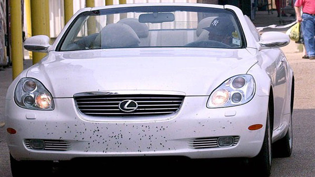 Ünlüler ve Cabrioları