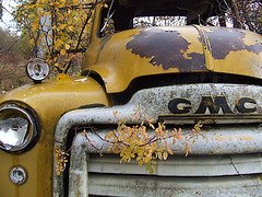 Instagram'ın Fenomen Kamyonetleri