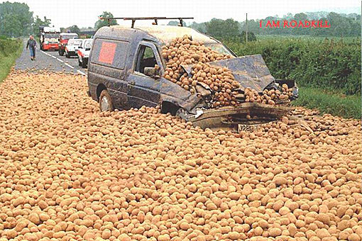 Kötüye Giden Yolculuklar