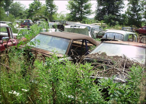 Ölüme Terk Edilenler