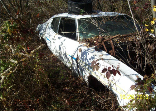 Ölüme Terk Edilenler