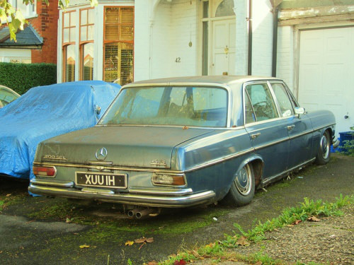 Ölüme Terk Edilenler