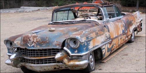 Ölüme Terk Edilenler