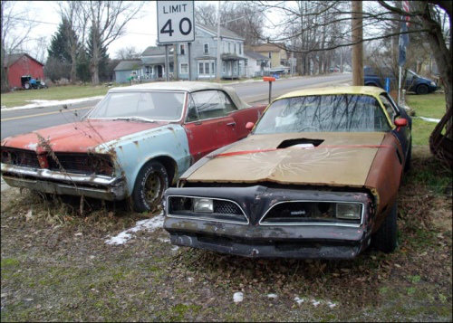 Ölüme Terk Edilenler