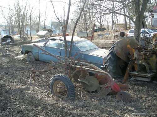 Ölüme Terk Edilenler