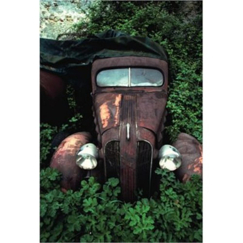 Ölüme Terk Edilenler