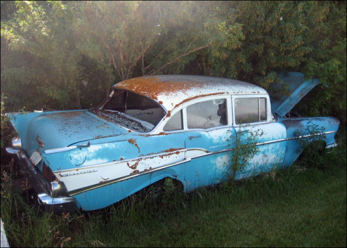 Ölüme Terk Edilenler