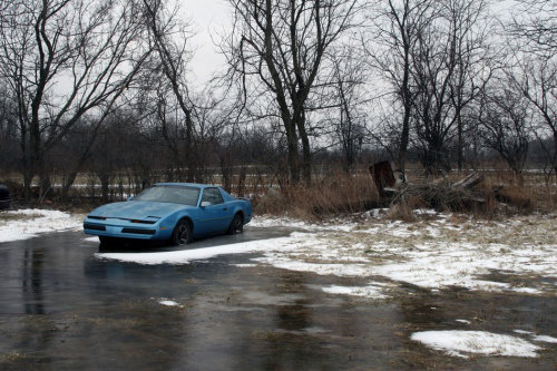 Ölüme Terk Edilenler