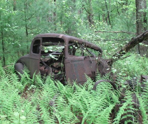 Ölüme Terk Edilenler