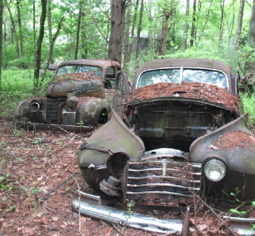 Ölüme Terk Edilenler