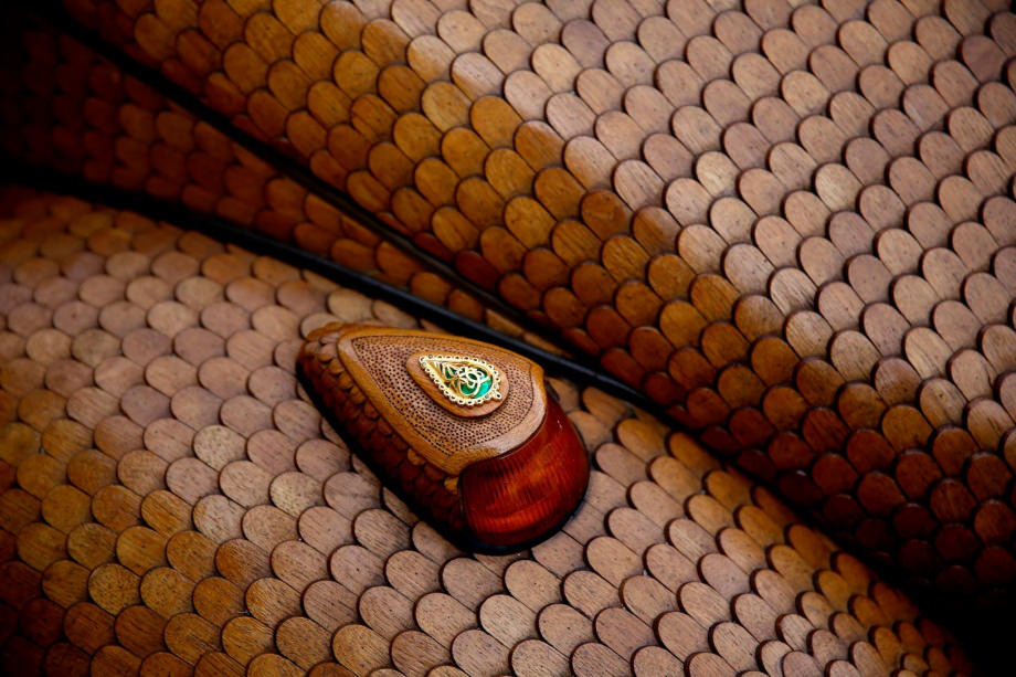 Tahtadan Kaplumbağa