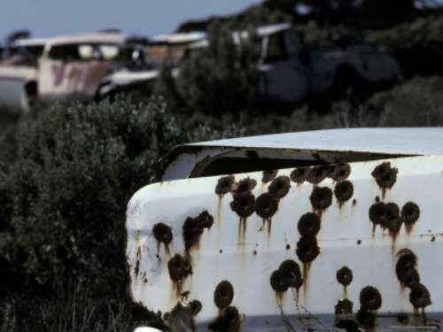 Kurşunlardan Kaçamadılar