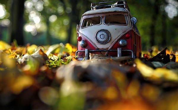 Oyuncak Mı? Gerçek Mi?