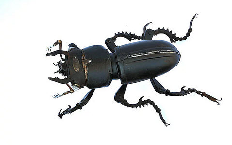 Otomobil Parçaları Hayvan Oldu