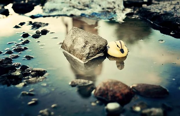 Bozuk Asfalt Protestosu