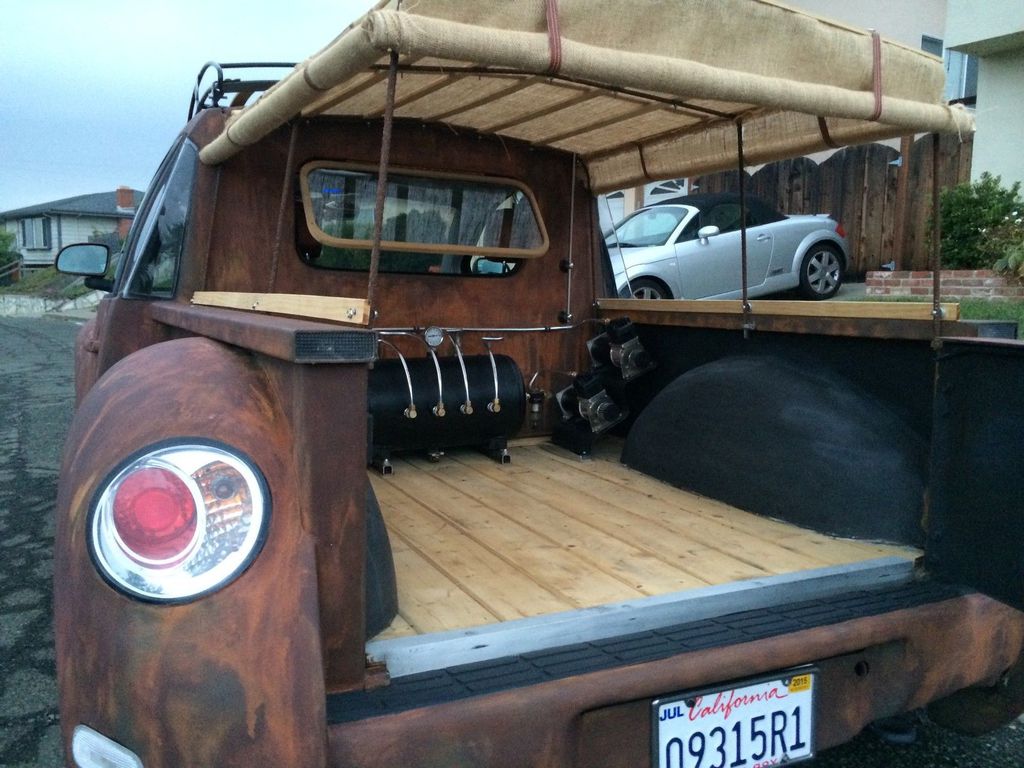 En Sıradışı Kaplumbağa