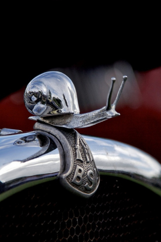 En İlginç Kaput Süsleri