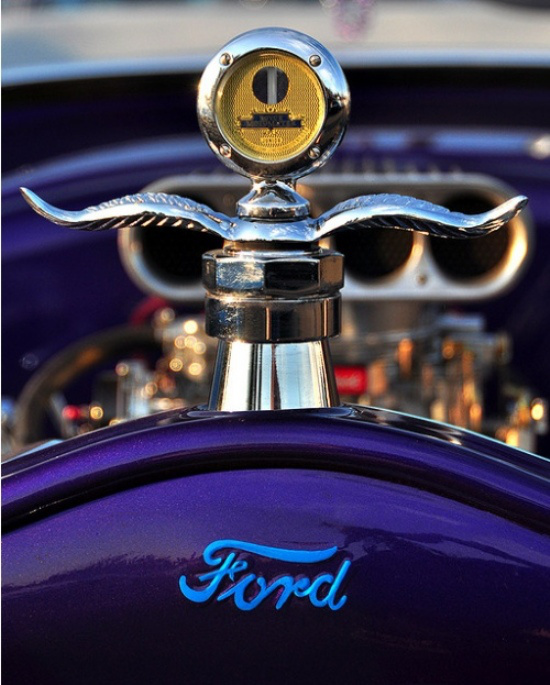 En İlginç Kaput Süsleri