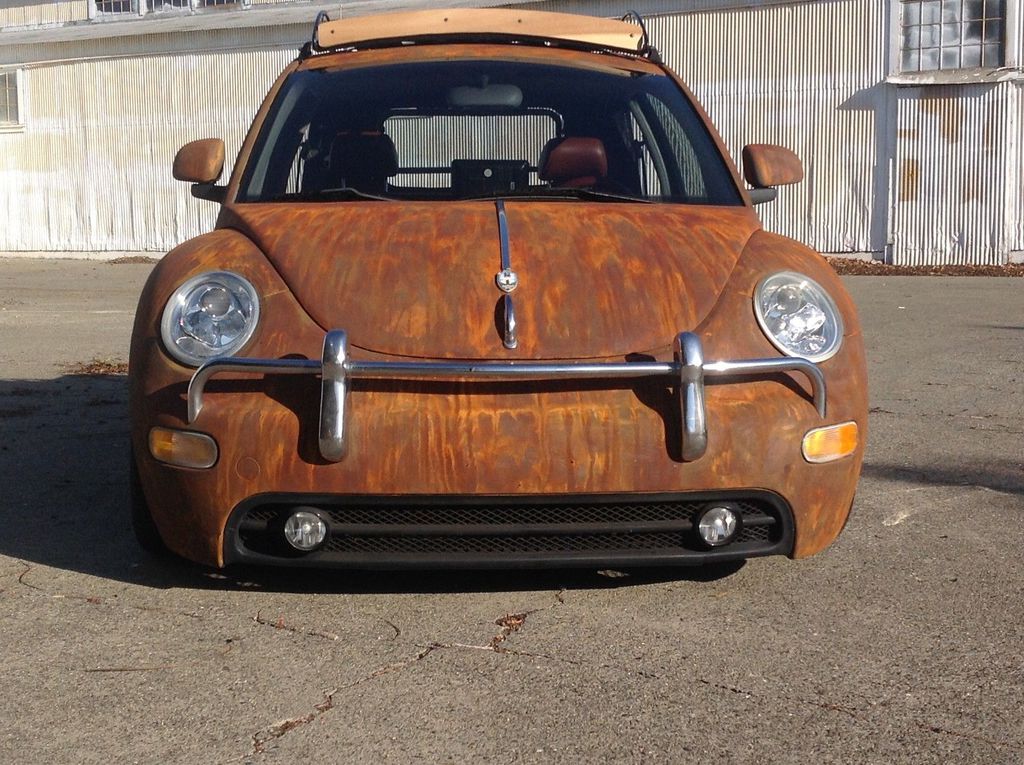 En Sıradışı Kaplumbağa