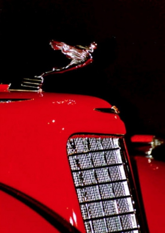 En İlginç Kaput Süsleri