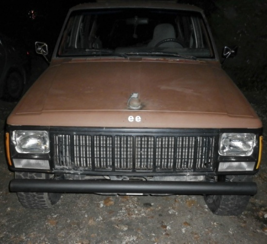 En İlginç Kaput Süsleri