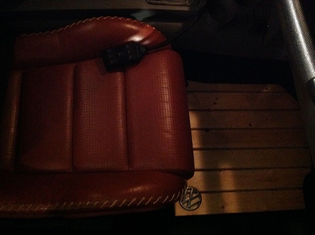 En Sıradışı Kaplumbağa