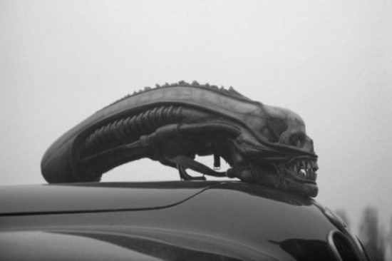 En İlginç Kaput Süsleri