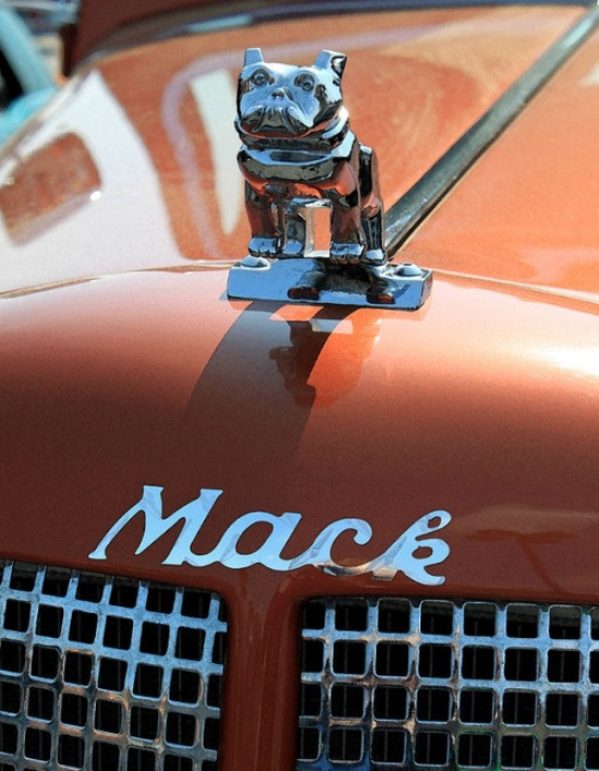 En İlginç Kaput Süsleri