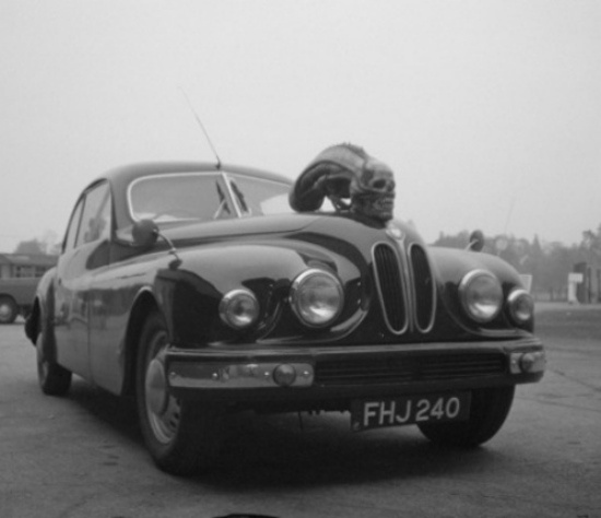 En İlginç Kaput Süsleri