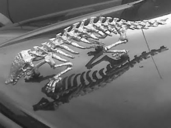 En İlginç Kaput Süsleri