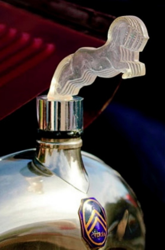 En İlginç Kaput Süsleri