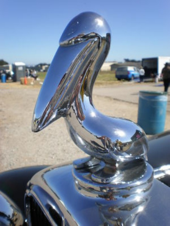 En İlginç Kaput Süsleri