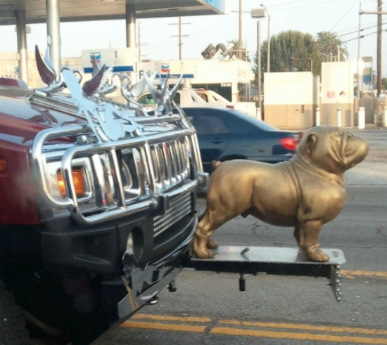 En İlginç Kaput Süsleri