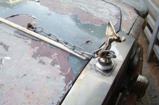 En İlginç Kaput Süsleri