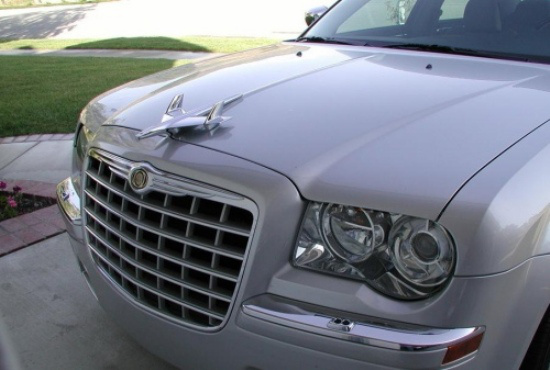 En İlginç Kaput Süsleri