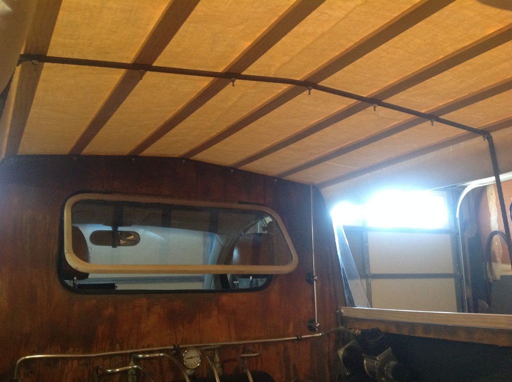 En Sıradışı Kaplumbağa