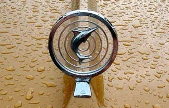 En İlginç Kaput Süsleri