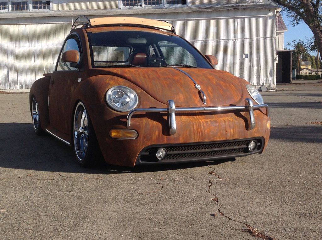 En Sıradışı Kaplumbağa