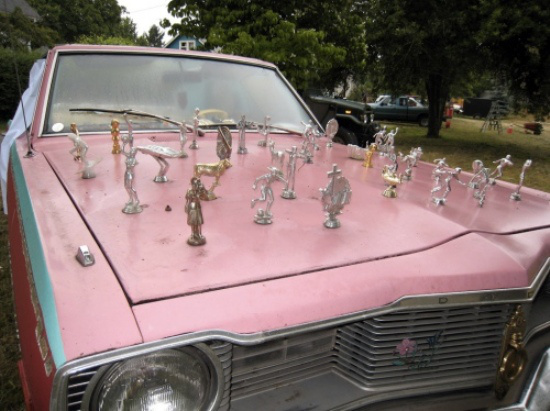 En İlginç Kaput Süsleri