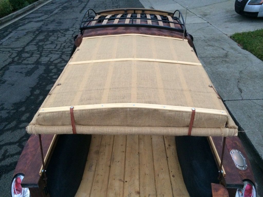 En Sıradışı Kaplumbağa