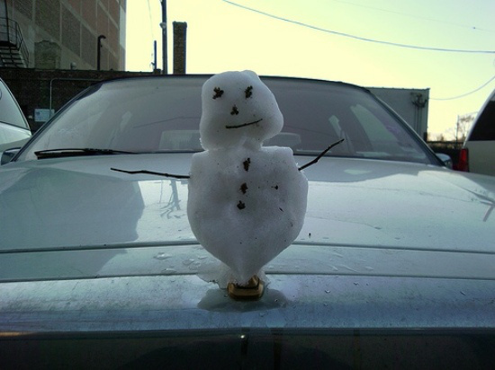 En İlginç Kaput Süsleri